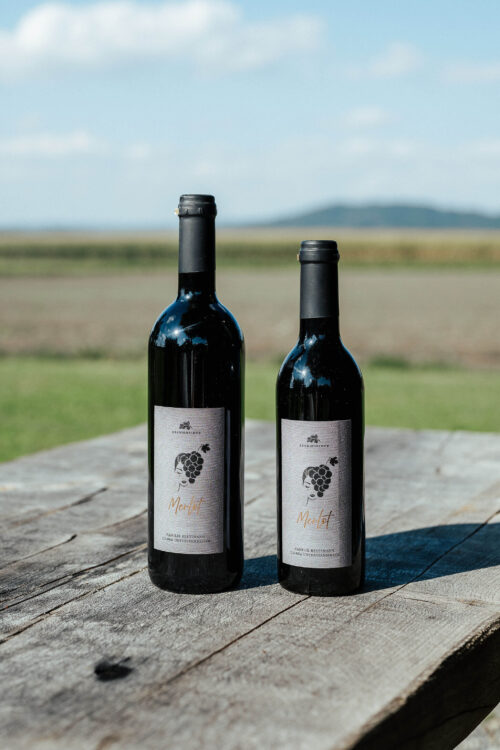 Stammheimer Merlot – Eleganter Rotwein mit Charakter